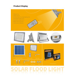 Projecteur solaire 300W